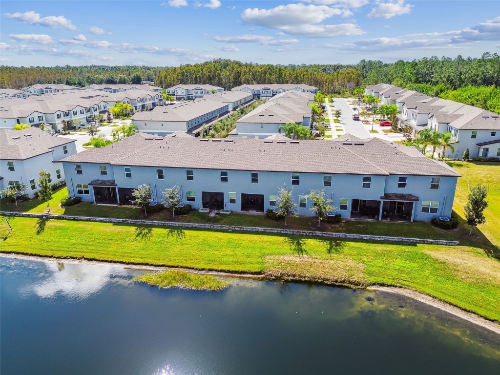 2213 Cerulean Sky Drive Lutz FL 33558 TB8440576 image74