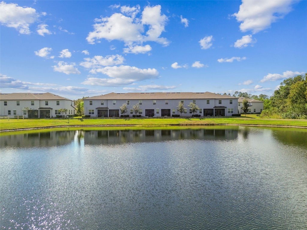 2213 Cerulean Sky Drive Lutz FL 33558 TB8440576 image77