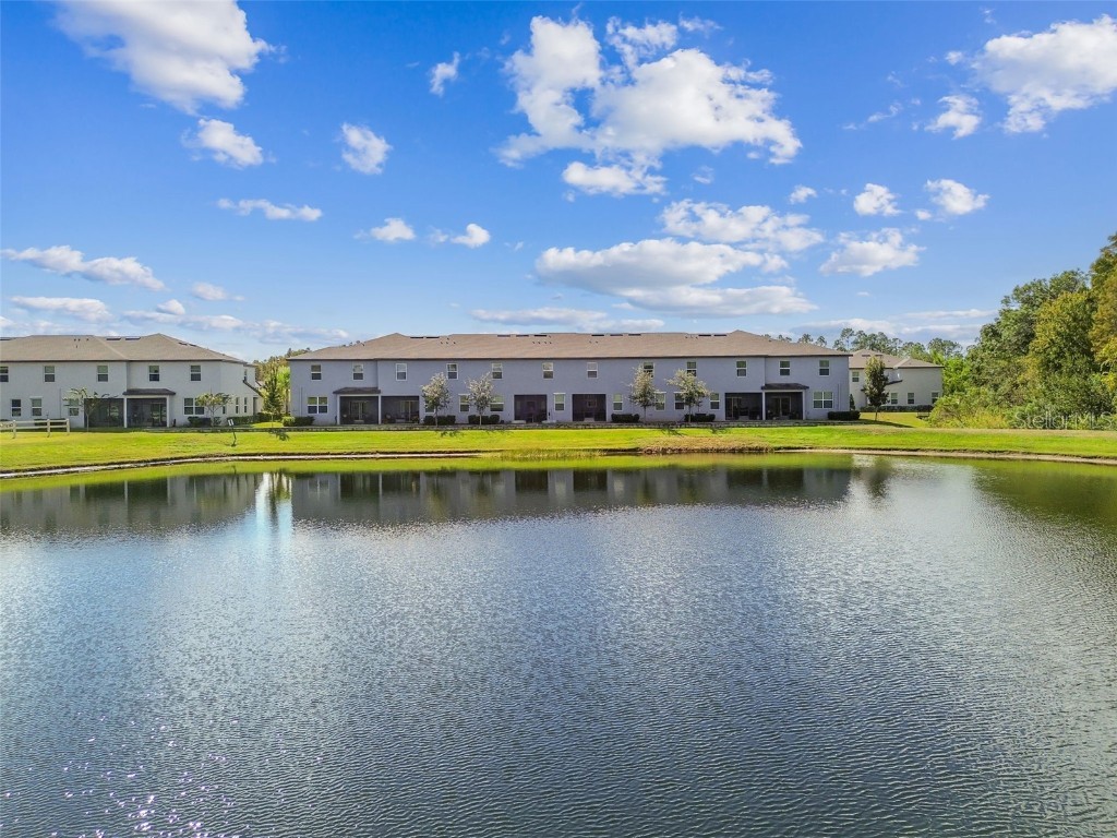 2213 Cerulean Sky Drive Lutz FL 33558 TB8440576 image78