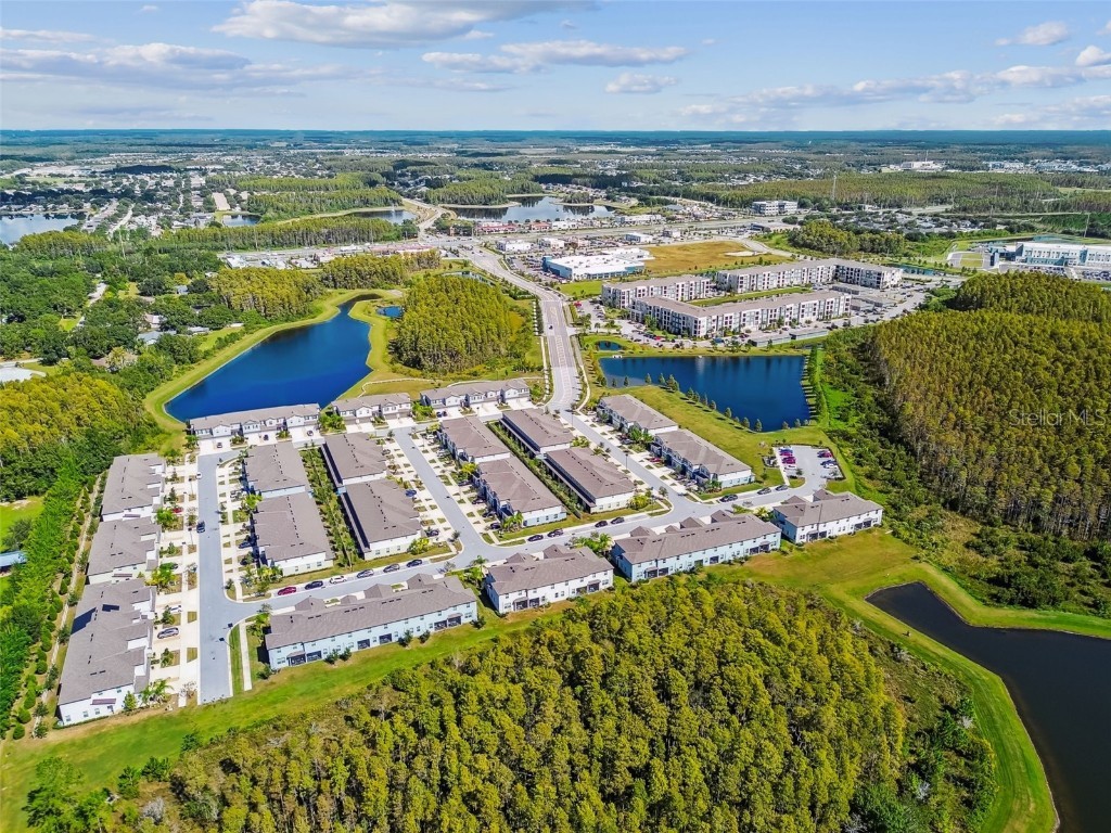 2213 Cerulean Sky Drive Lutz FL 33558 TB8440576 image79