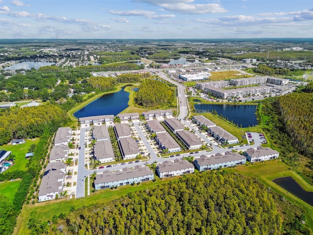 2213 Cerulean Sky Drive Lutz FL 33558 TB8440576 image80