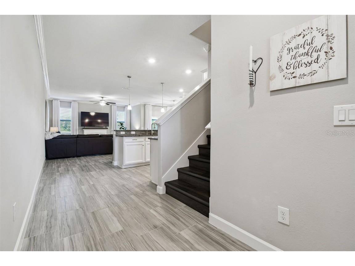 2213 Cerulean Sky Drive Lutz FL 33558 TB8440576 image9