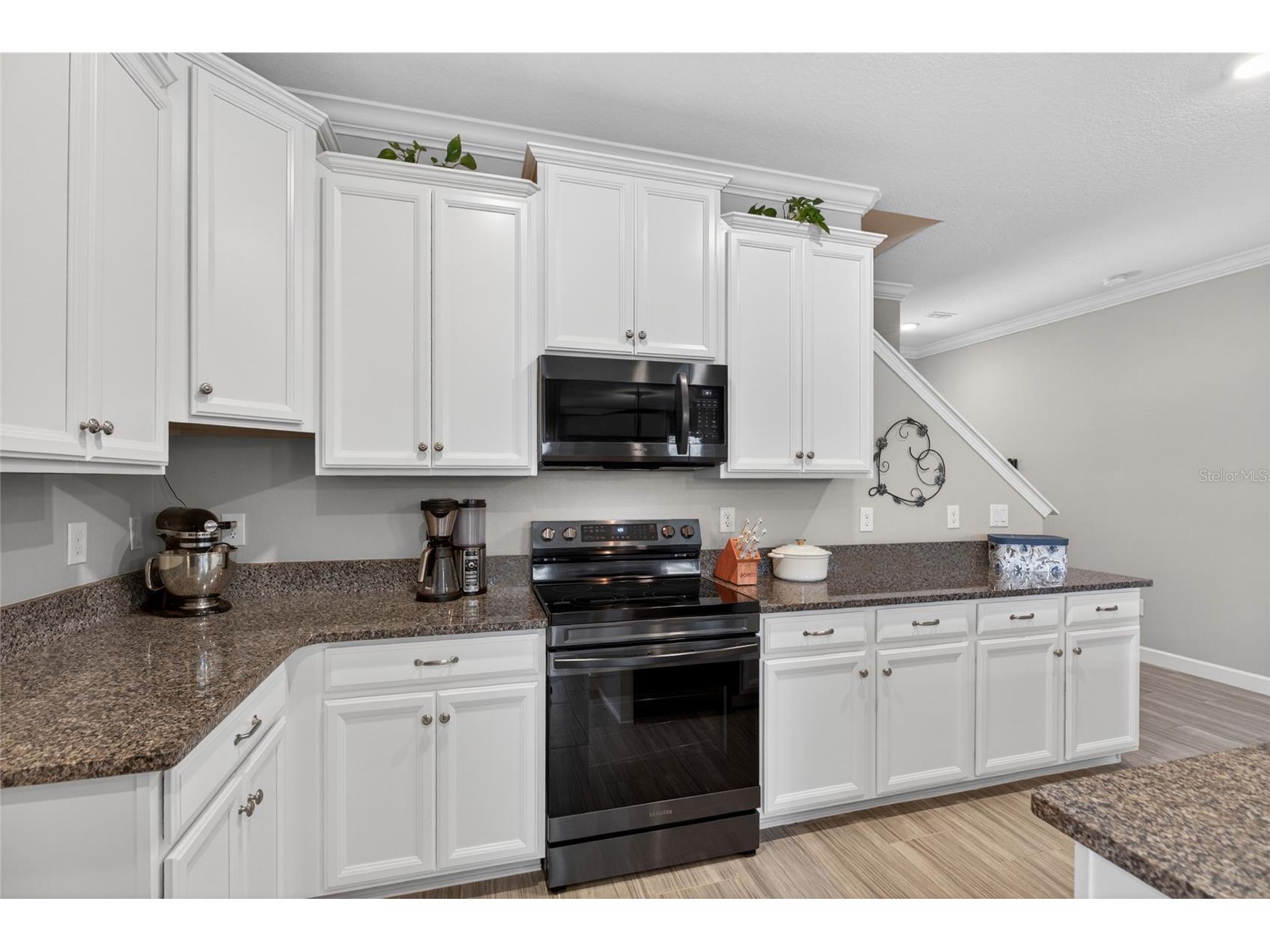2213 Cerulean Sky Drive Lutz FL 33558 TB8503513 image12