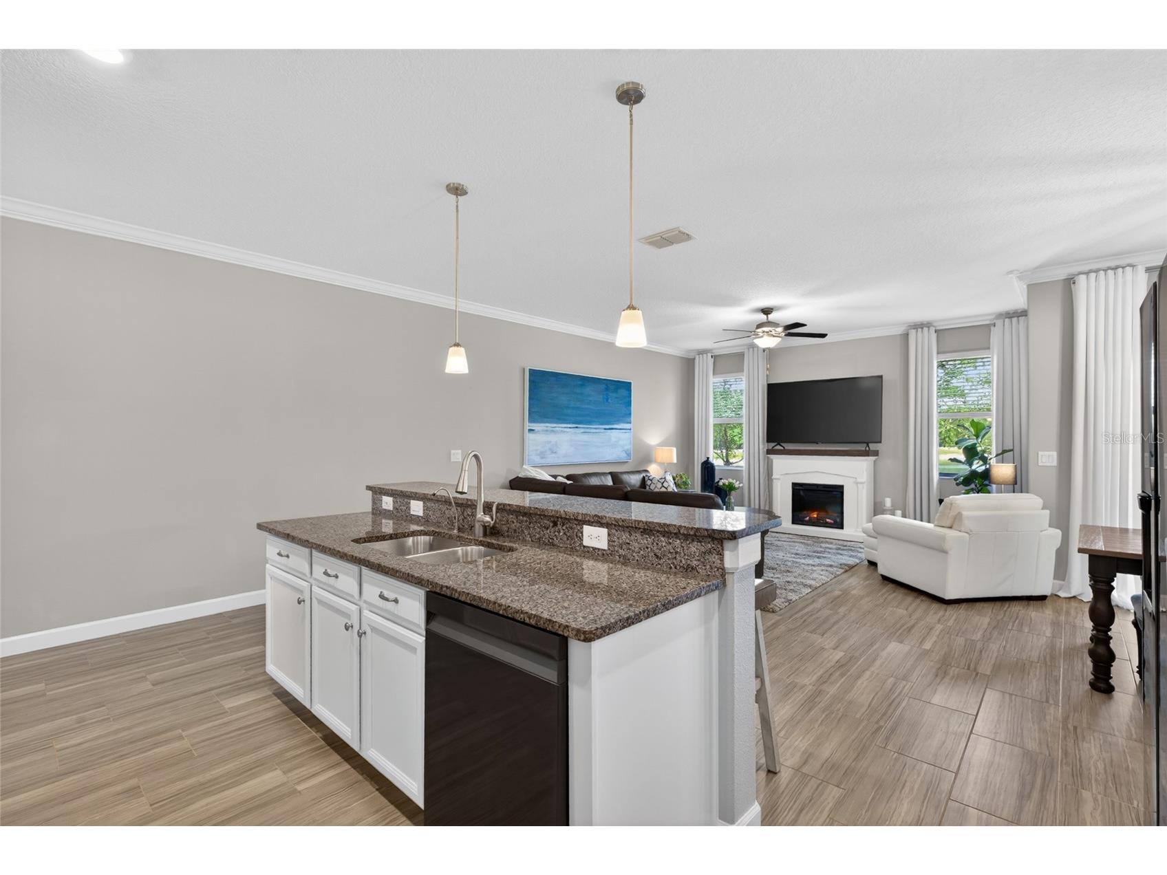 2213 Cerulean Sky Drive Lutz FL 33558 TB8503513 image13