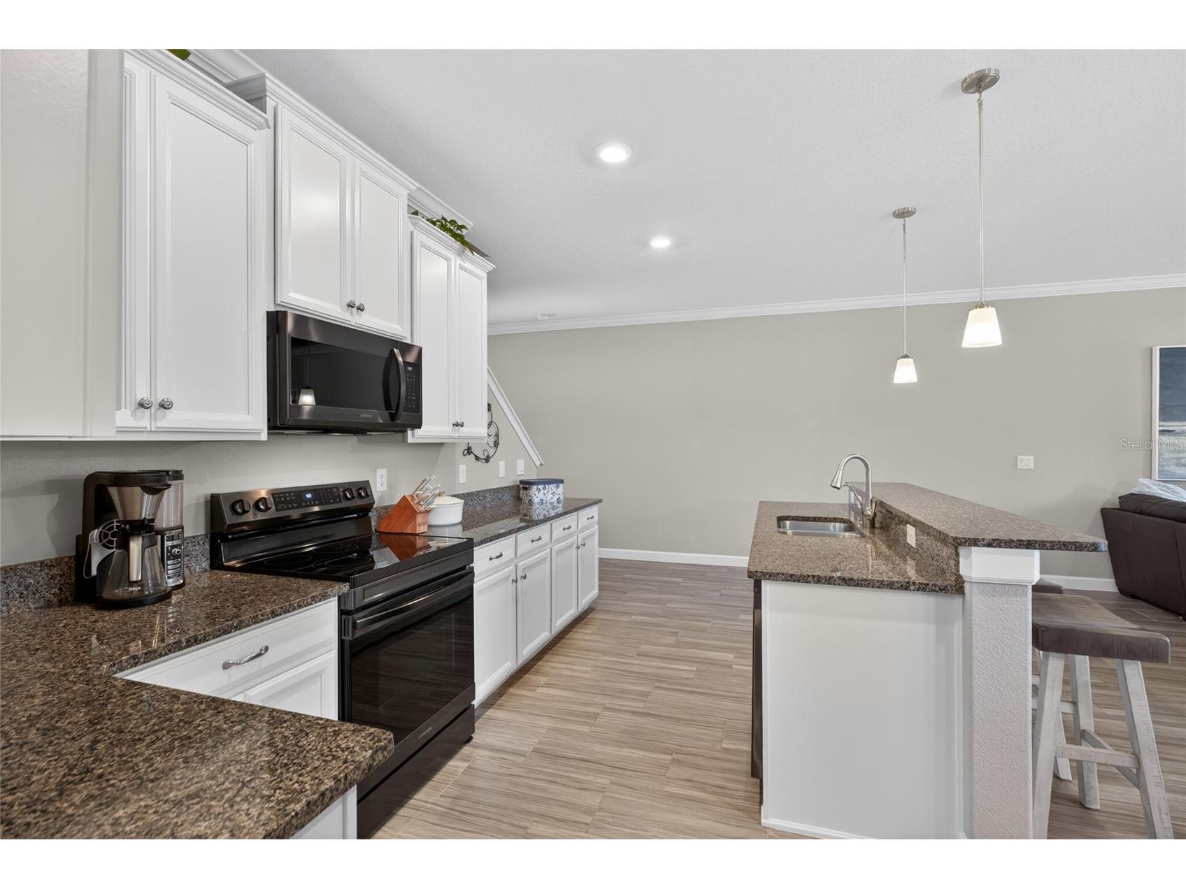 2213 Cerulean Sky Drive Lutz FL 33558 TB8503513 image14