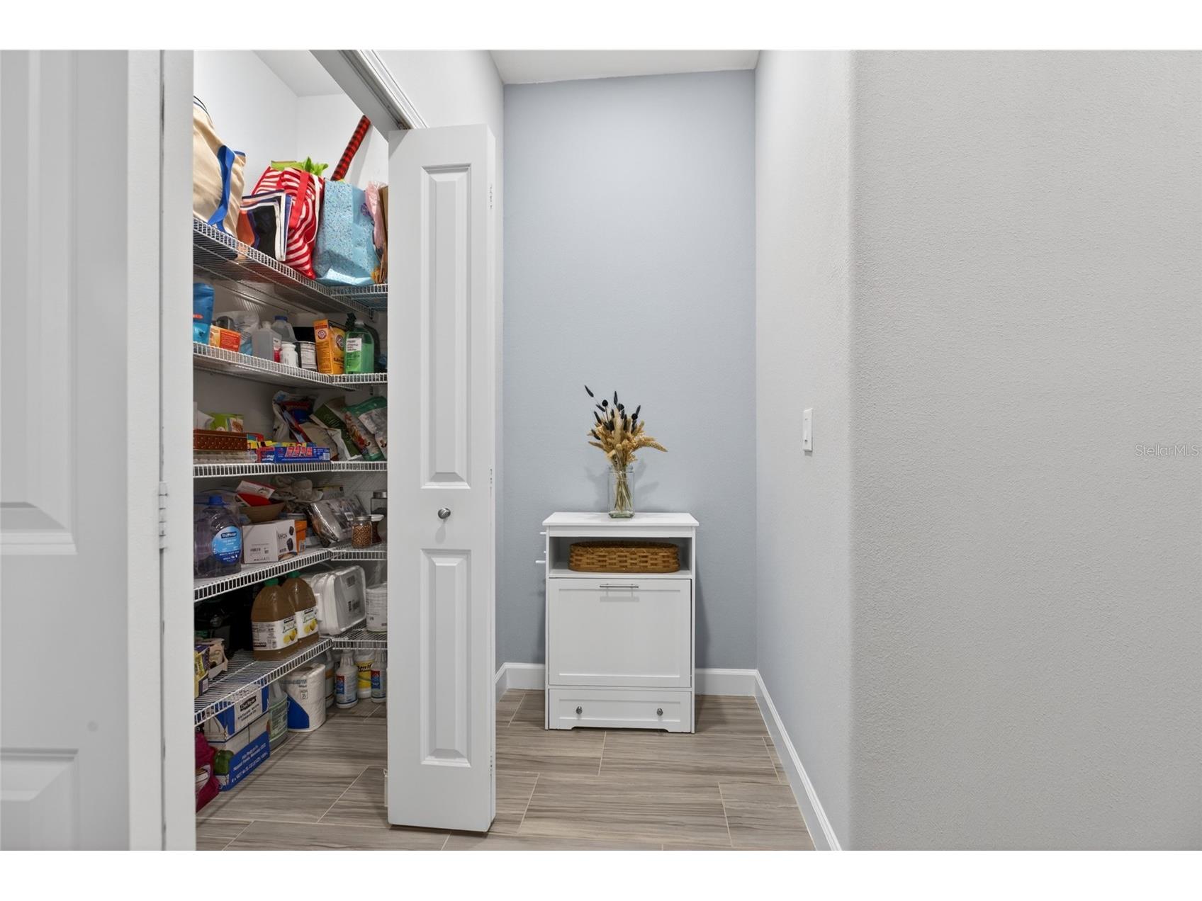 2213 Cerulean Sky Drive Lutz FL 33558 TB8503513 image16
