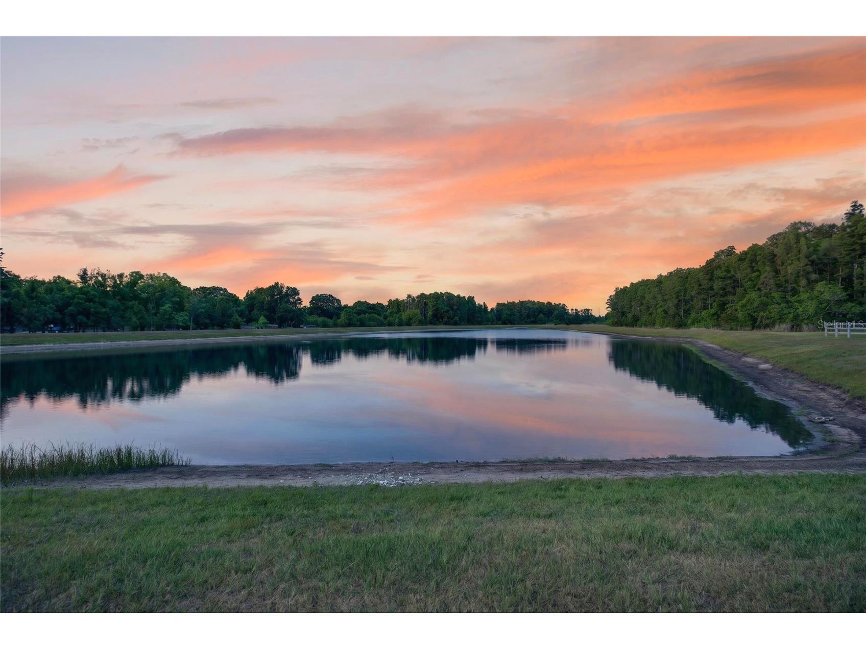 2213 Cerulean Sky Drive Lutz FL 33558 TB8503513 image2