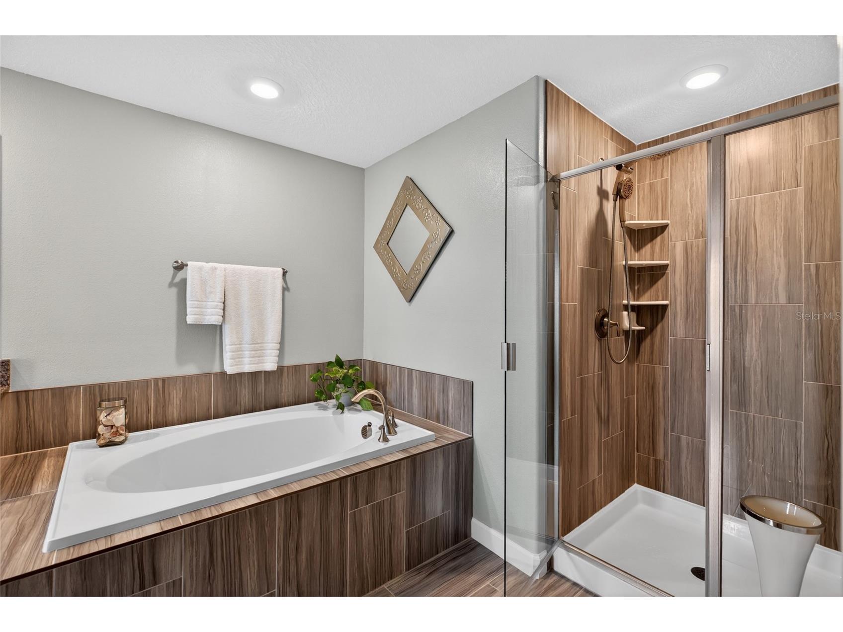 2213 Cerulean Sky Drive Lutz FL 33558 TB8503513 image33