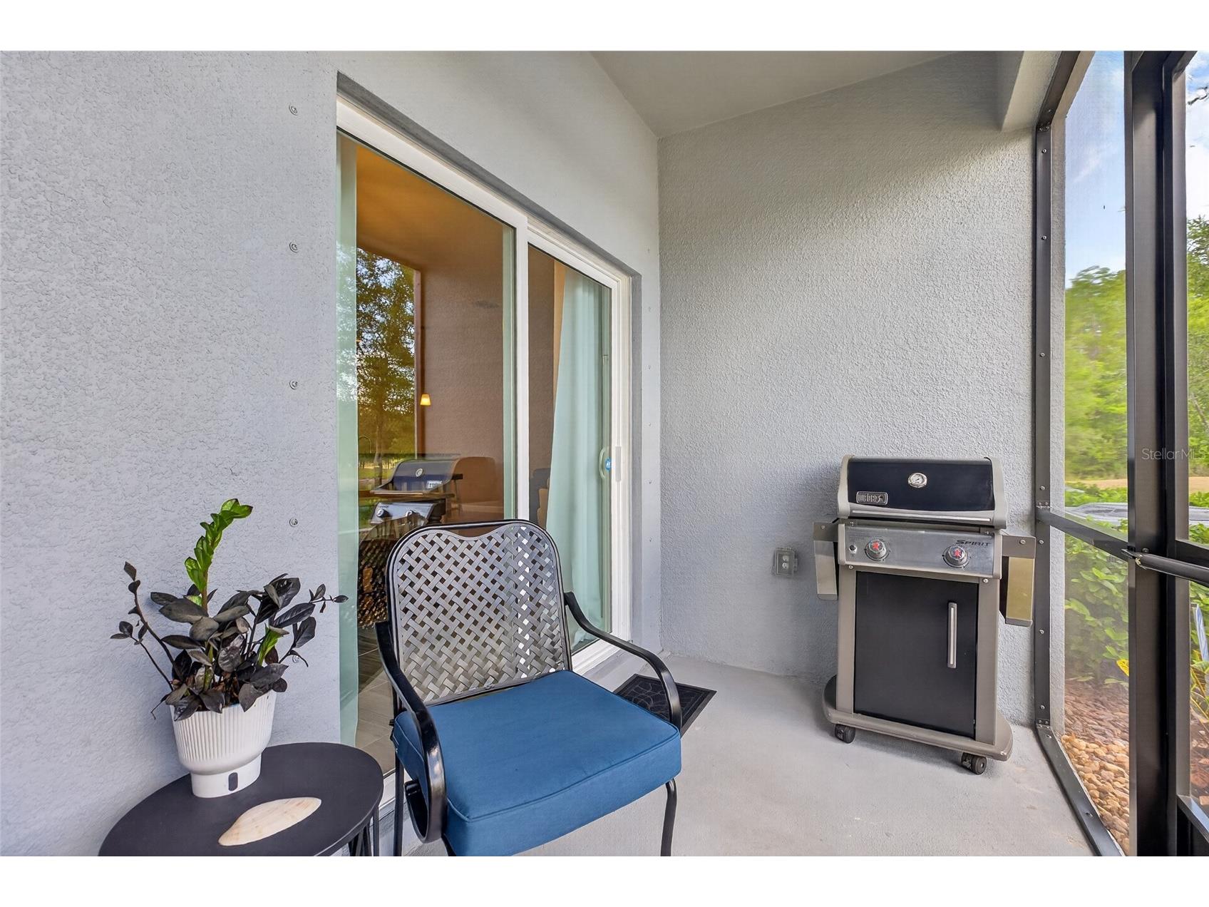 2213 Cerulean Sky Drive Lutz FL 33558 TB8503513 image46