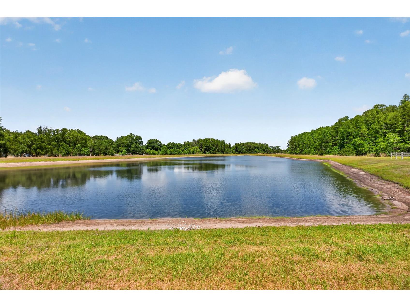 2213 Cerulean Sky Drive Lutz FL 33558 TB8503513 image53