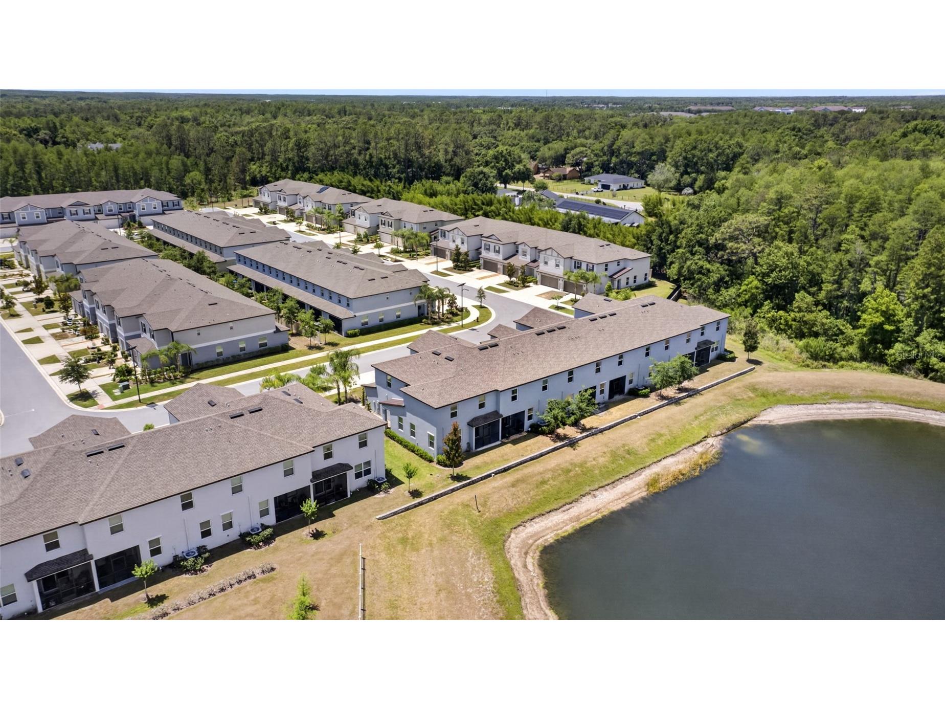 2213 Cerulean Sky Drive Lutz FL 33558 TB8503513 image55
