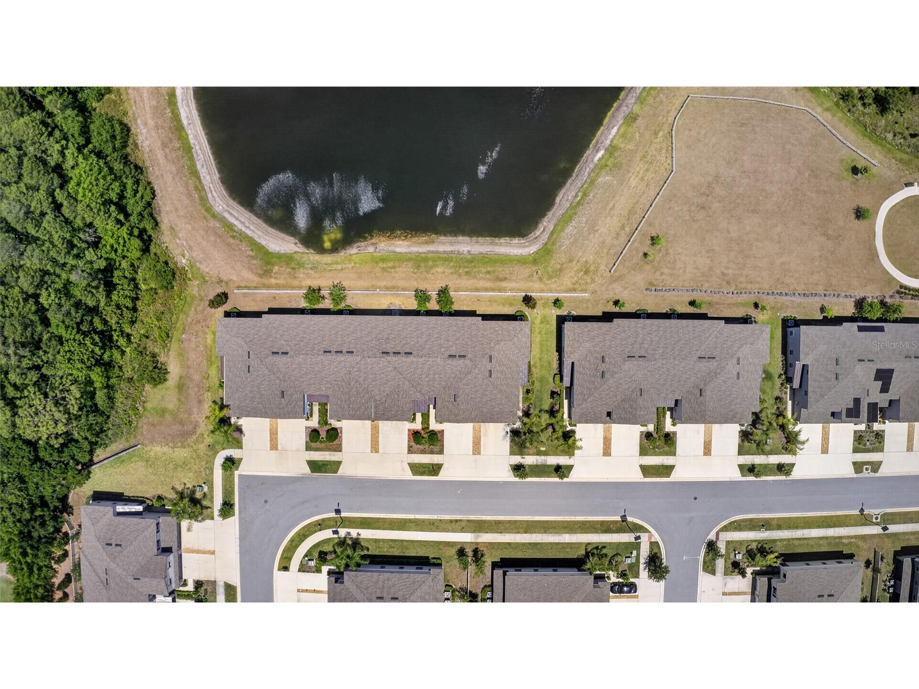 2213 Cerulean Sky Drive Lutz FL 33558 TB8503513 image59