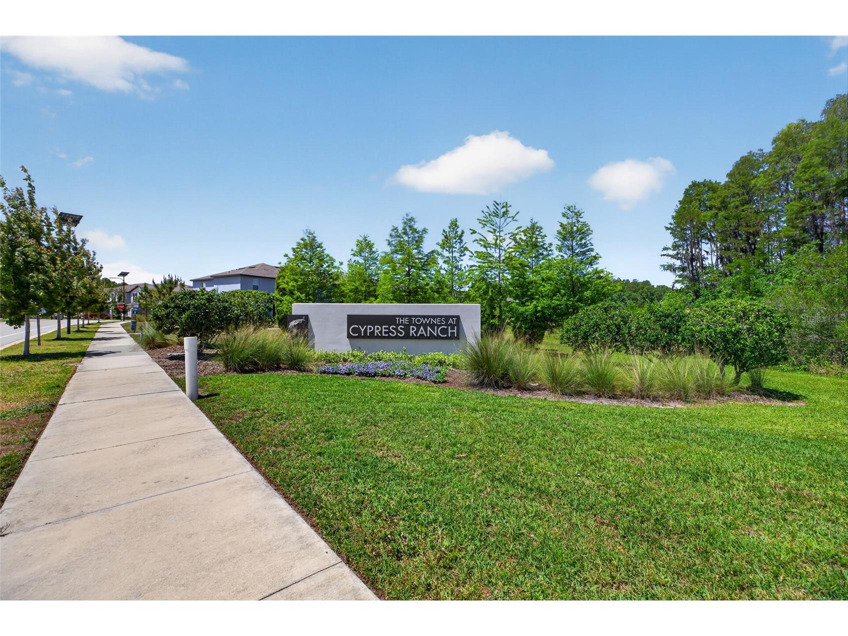 2213 Cerulean Sky Drive Lutz FL 33558 TB8503513 image60