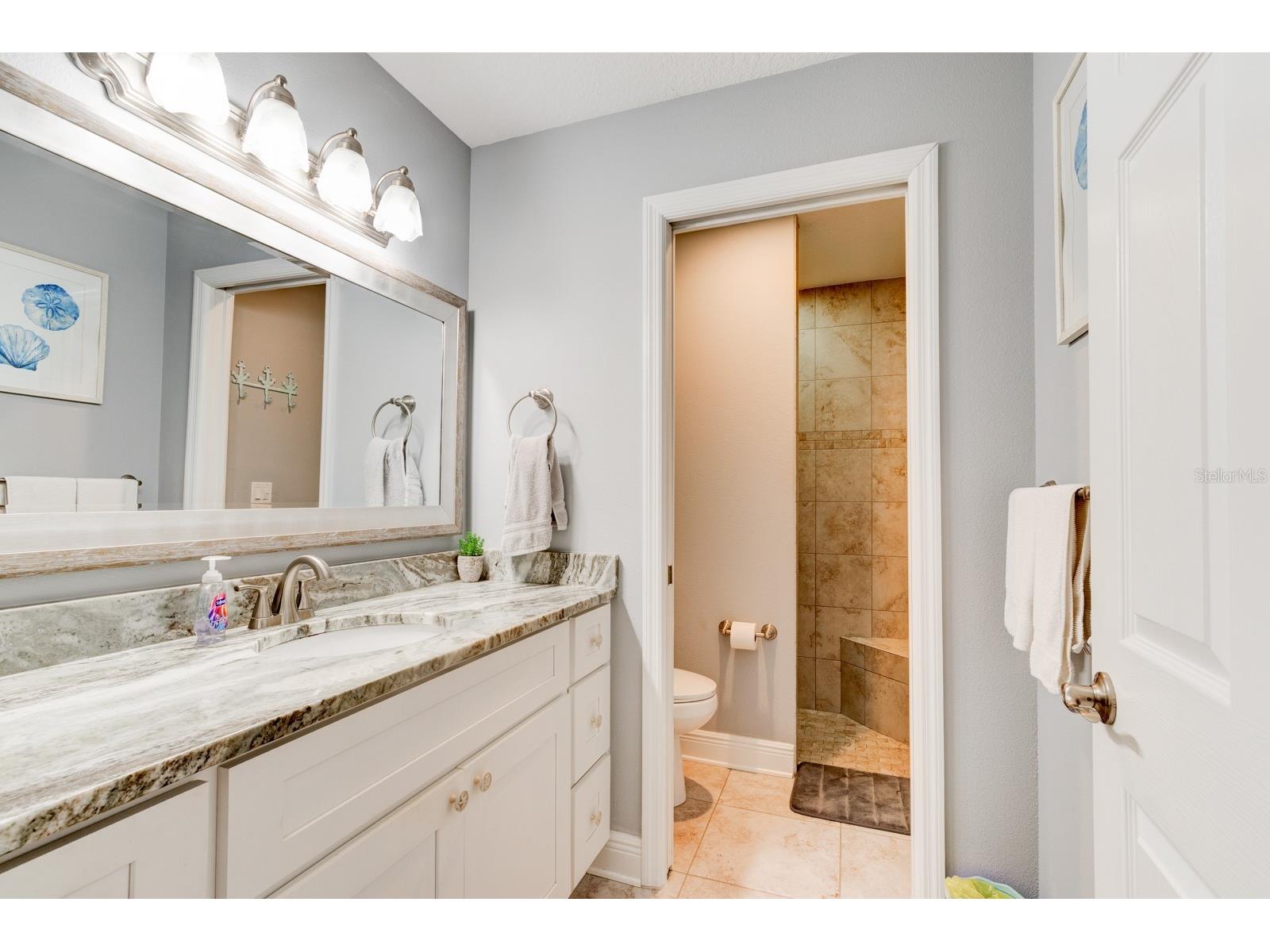 2213 Hawks Cove Circle New Smyrna Beach FL 32168 NS1088163 image14