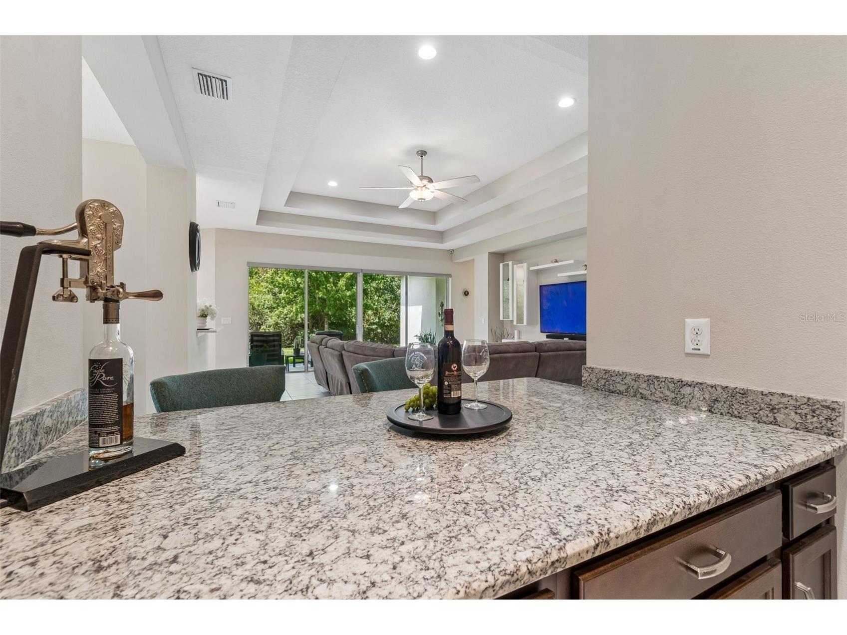 2213 Hollow Forest Court Wesley Chapel FL 33543 TB8508124 image24