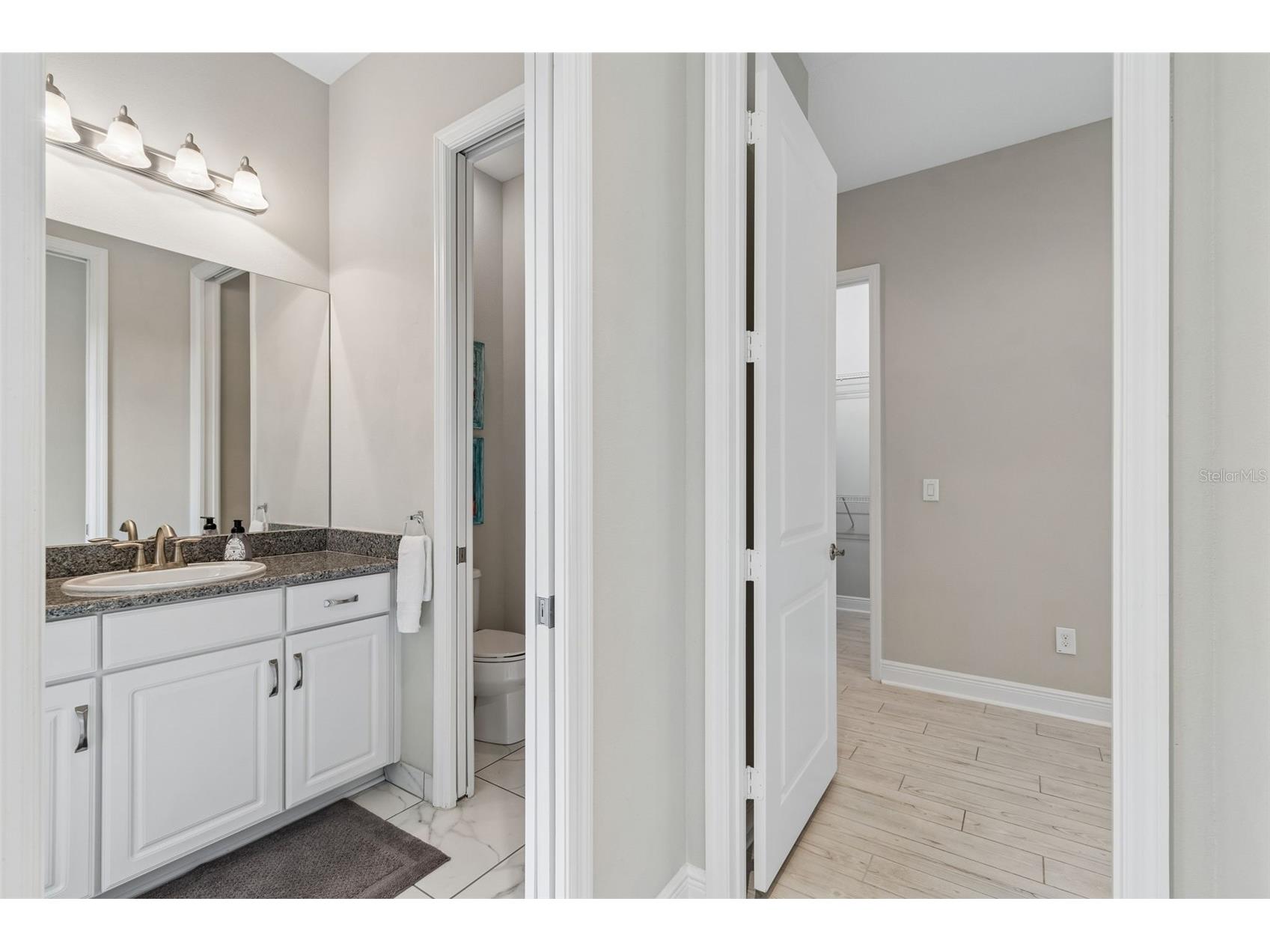 2213 Hollow Forest Court Wesley Chapel FL 33543 TB8508124 image38