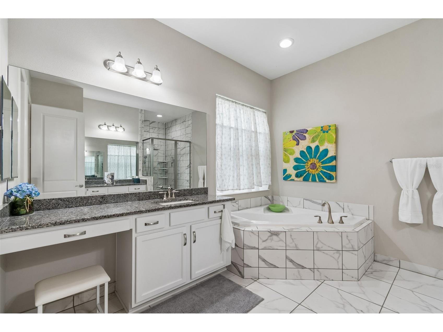 2213 Hollow Forest Court Wesley Chapel FL 33543 TB8508124 image43