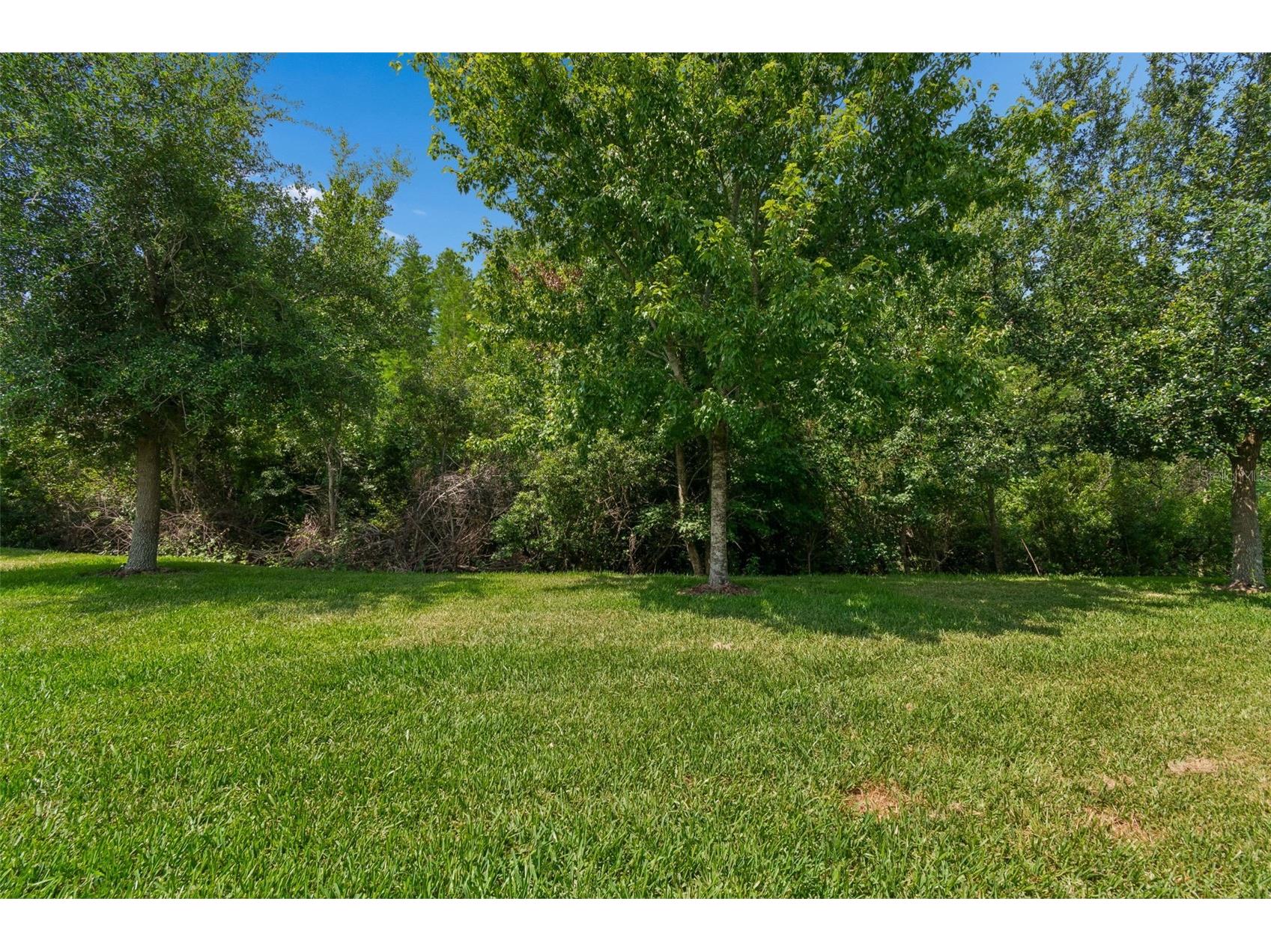 2213 Hollow Forest Court Wesley Chapel FL 33543 TB8508124 image48