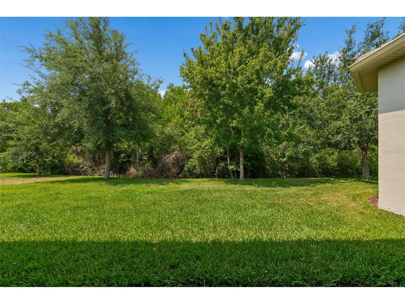 2213 Hollow Forest Court Wesley Chapel FL 33543 TB8508124 image49