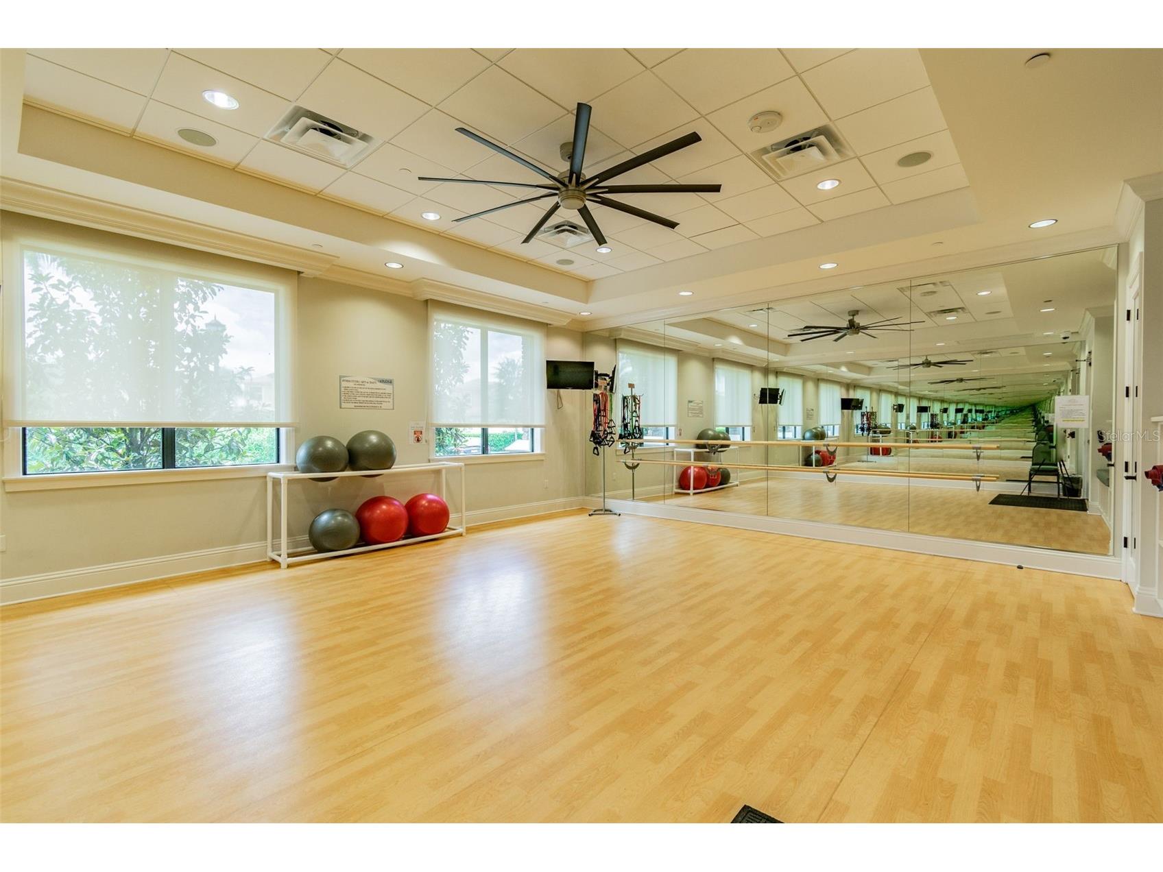 2213 Hollow Forest Court Wesley Chapel FL 33543 TB8508124 image63