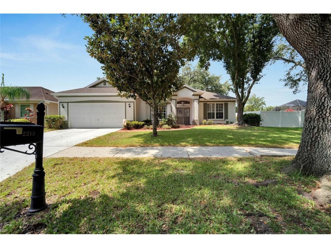 2213 Longmore Circle Valrico FL 33596 T3452914 image1