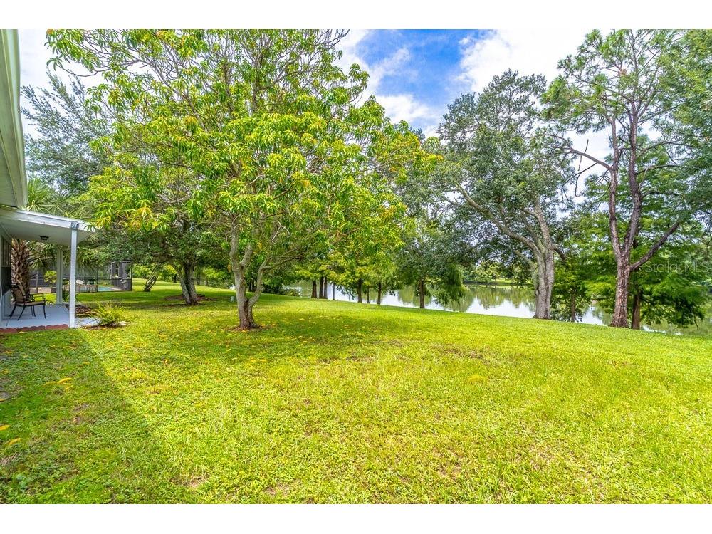 2213 Oldfield Drive Orlando FL 32837 O6332753 image41