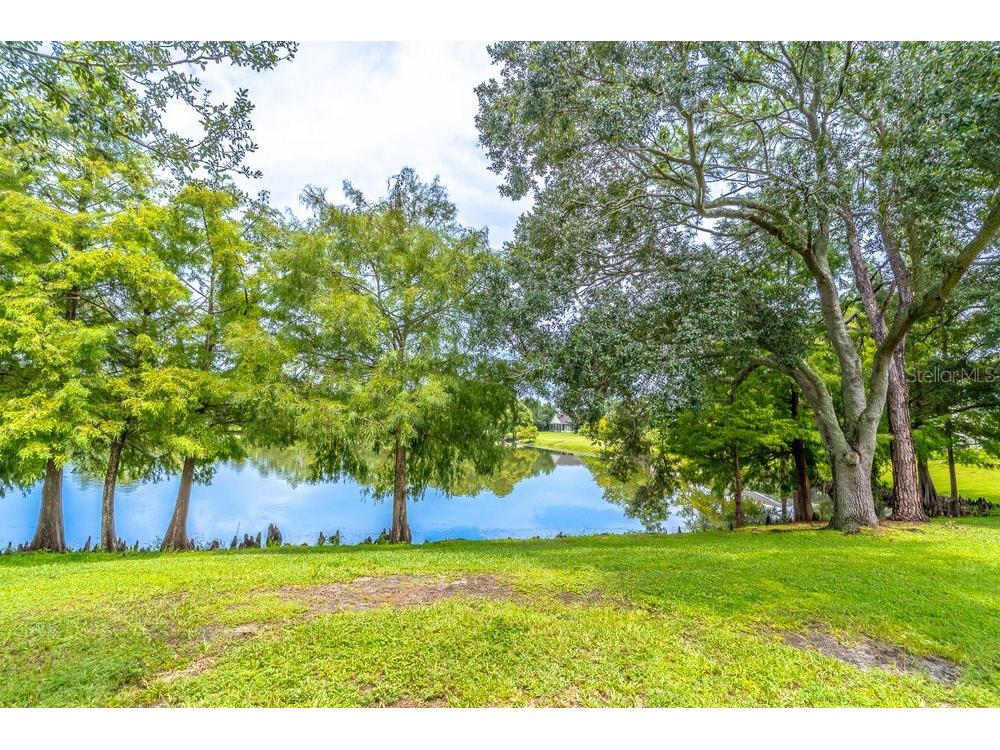 2213 Oldfield Drive Orlando FL 32837 O6332753 image42