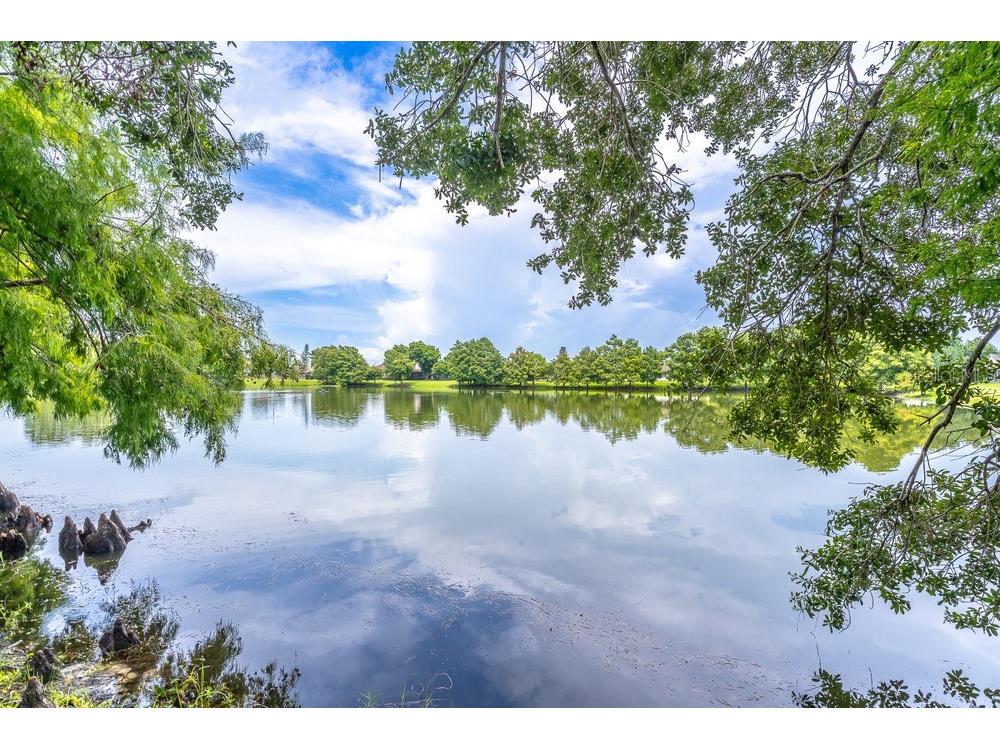 2213 Oldfield Drive Orlando FL 32837 O6332753 image7