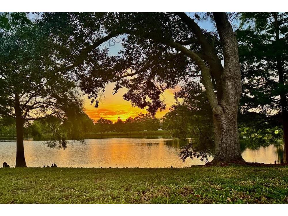 2213 Oldfield Drive Orlando FL 32837 O6332753 image8