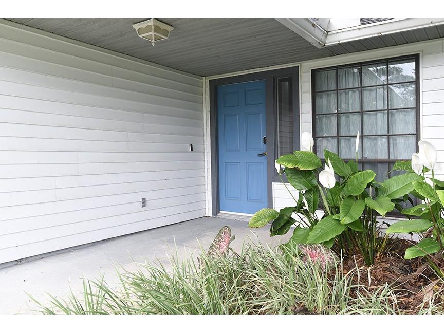 2213 Pine Tree Drive Edgewater FL 32141 NS1088281 image2