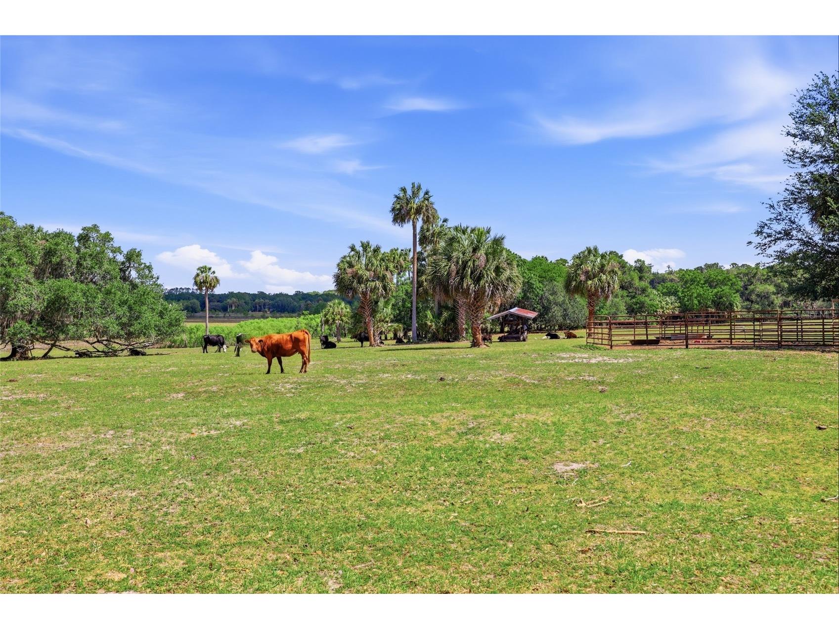 22130 NW 75th Avenue Road Micanopy FL 32667 GC539927 image36