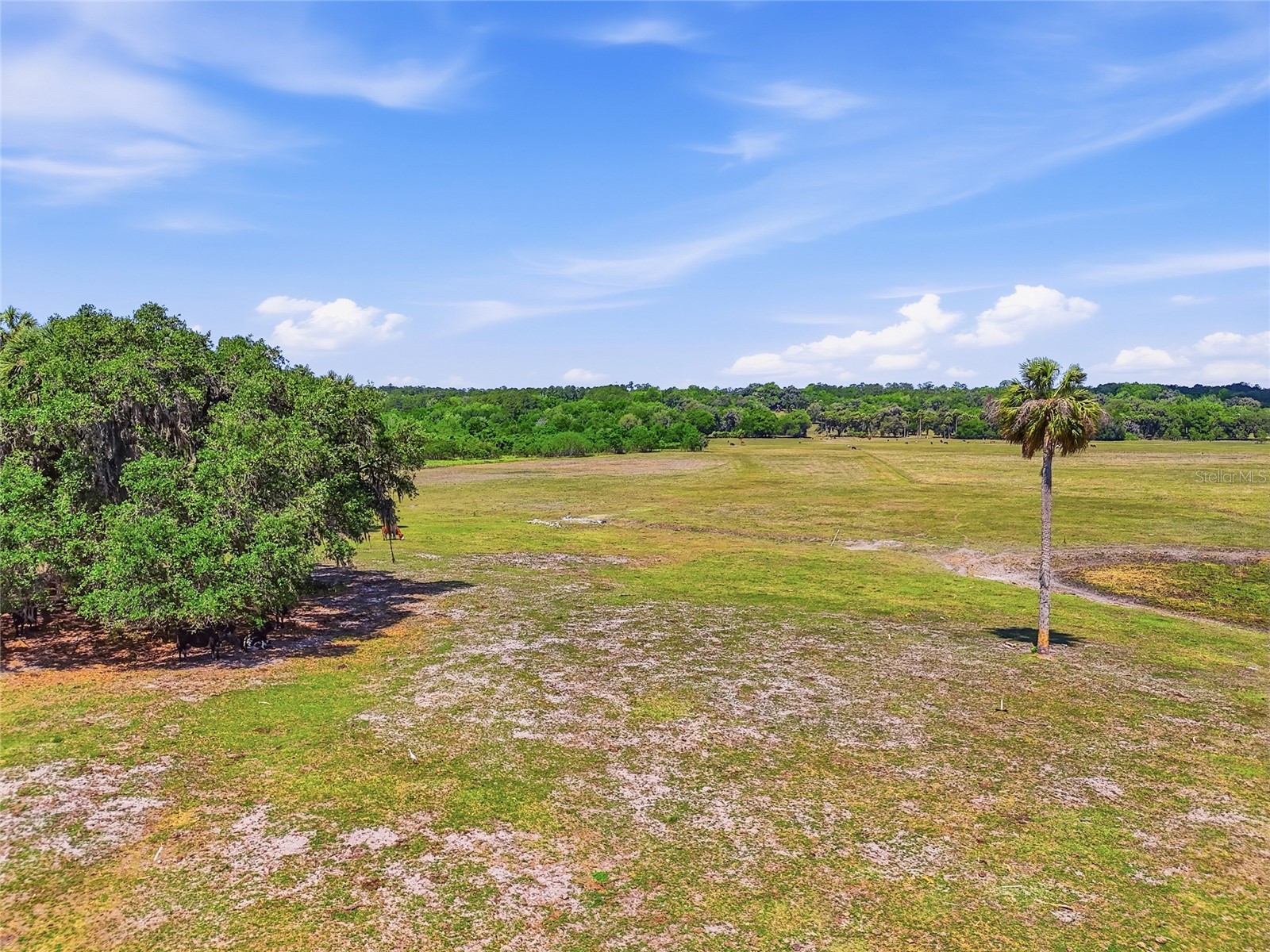 22130 NW 75th Avenue Road Micanopy FL 32667 GC539927 image37