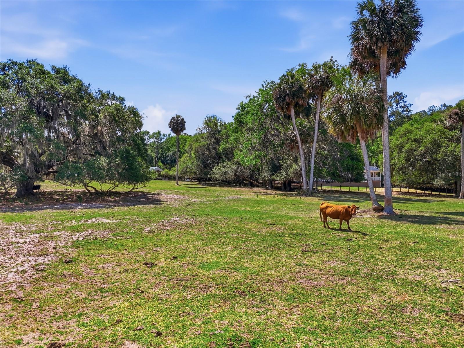 22130 NW 75th Avenue Road Micanopy FL 32667 GC539927 image38