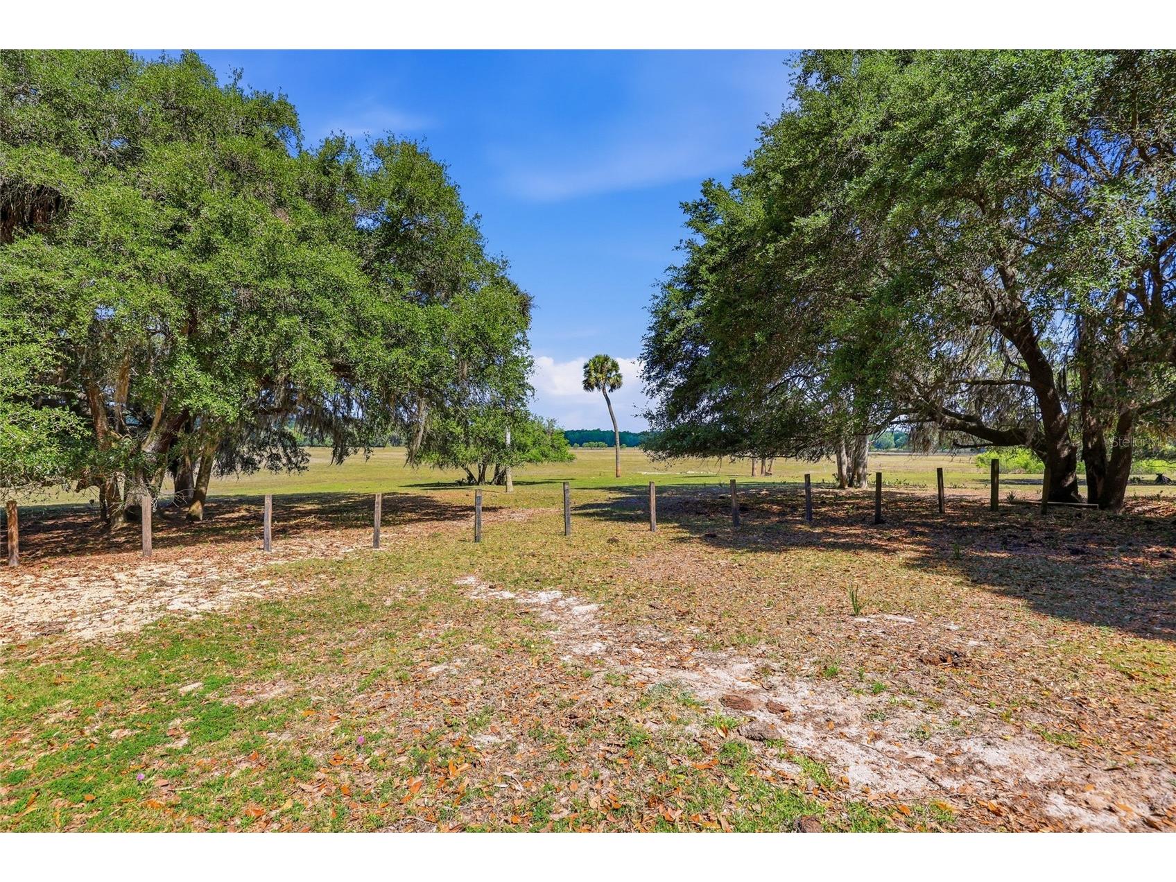 22130 NW 75th Avenue Road Micanopy FL 32667 GC539927 image39