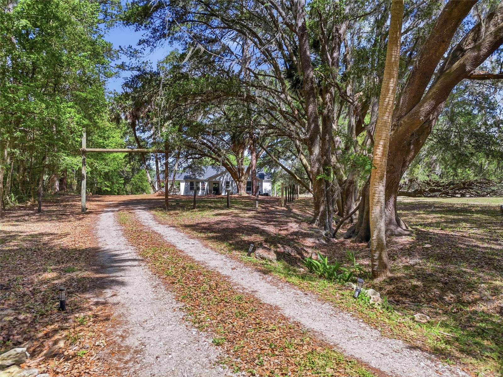 22130 NW 75th Avenue Road Micanopy FL 32667 GC539927 image5
