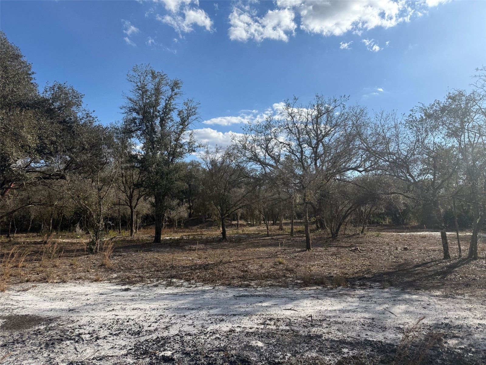 22134 NW 264th Street Okeechobee FL 34972 K4903279 image1