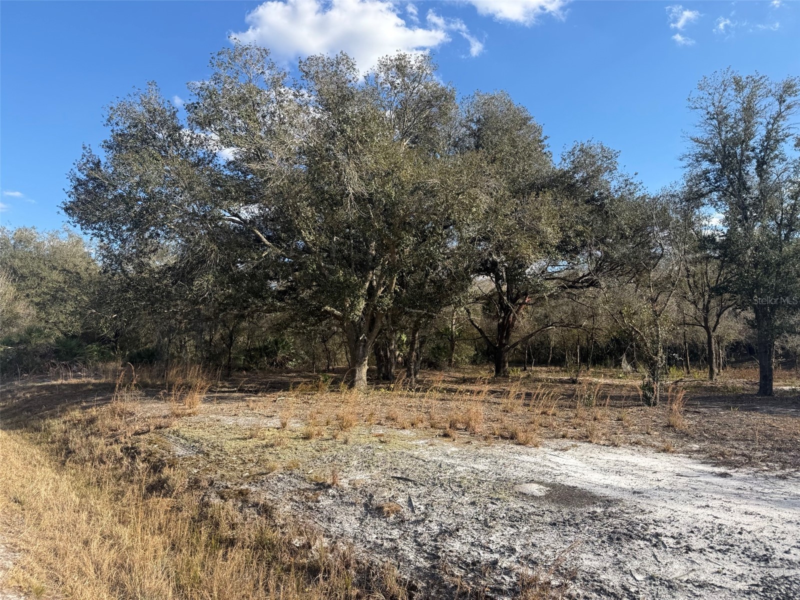 22134 NW 264th Street Okeechobee FL 34972 K4903279 image2