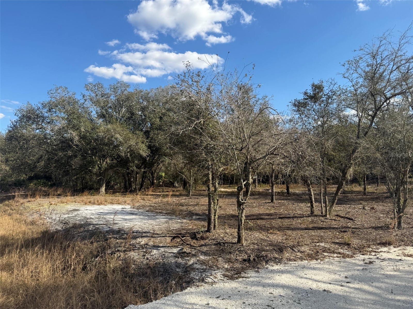 22134 NW 264th Street Okeechobee FL 34972 K4903279 image4