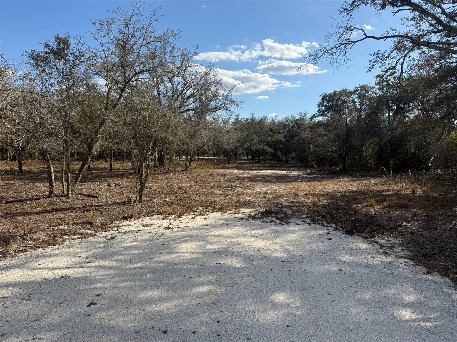 22134 NW 264th Street Okeechobee FL 34972 K4903279 image5