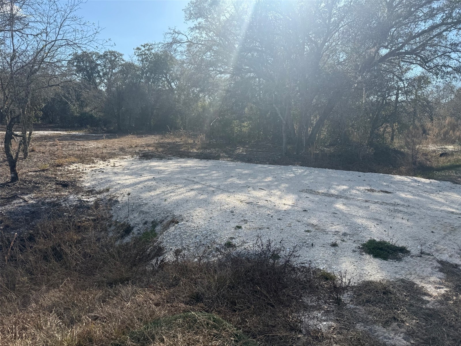 22134 NW 264th Street Okeechobee FL 34972 K4903279 image6