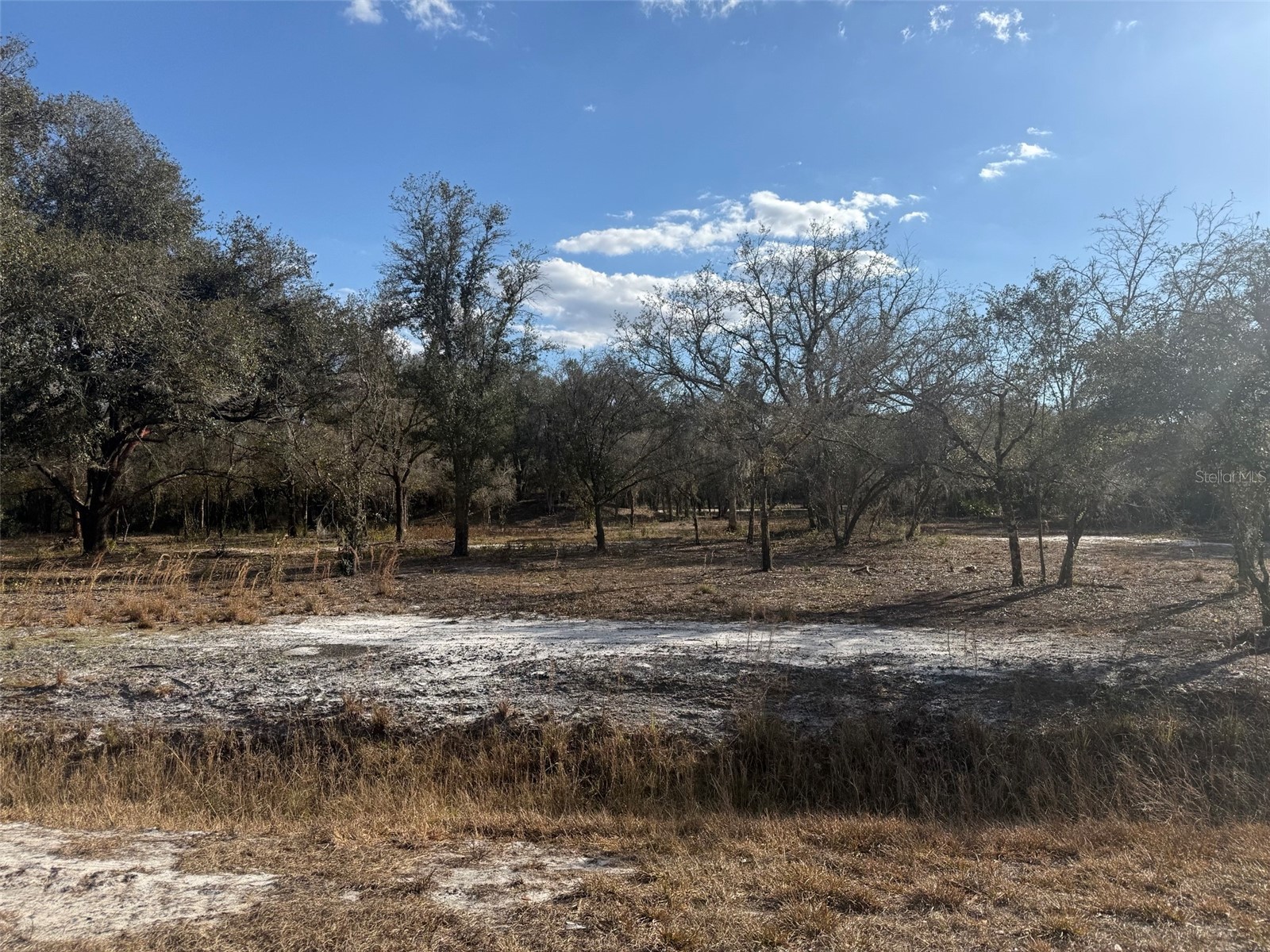 22134 NW 264th Street Okeechobee FL 34972 K4903279 image7