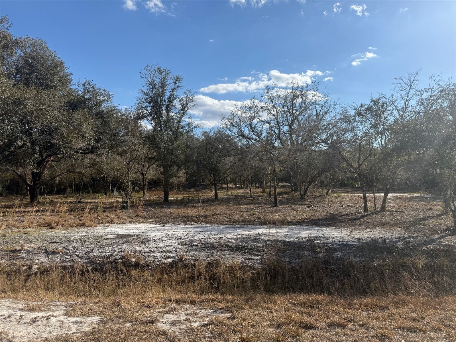 22134 NW 264th Street Okeechobee FL 34972 K4903279 image8