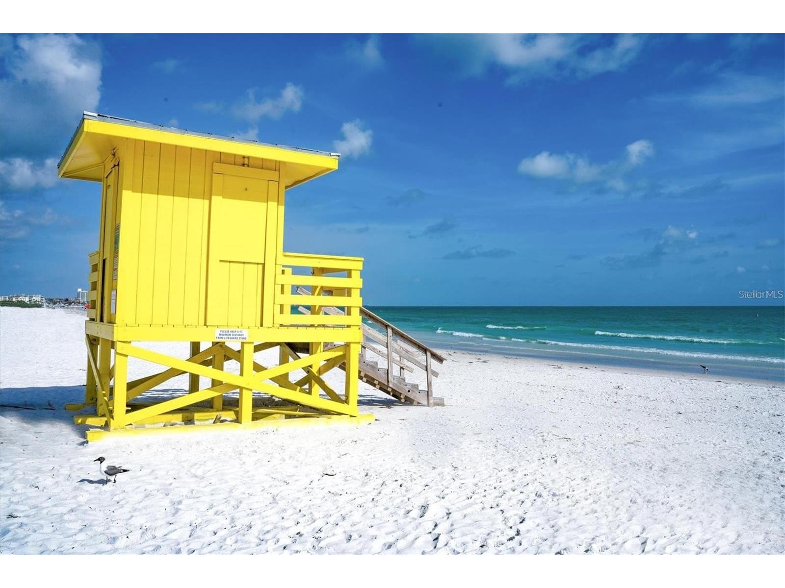 2214 Michele Drive Sarasota FL 34231 A4686063 image41