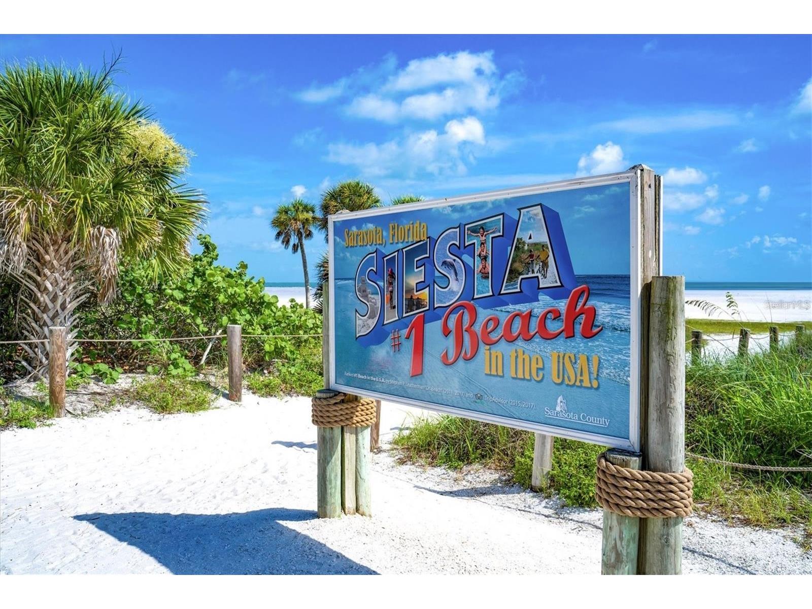 2214 Michele Drive Sarasota FL 34231 A4686063 image43