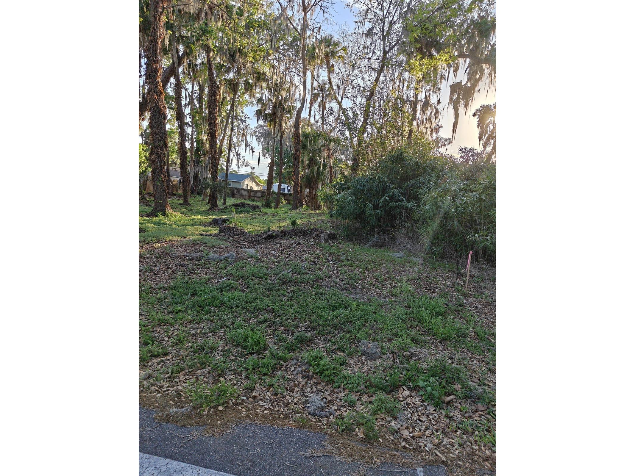 2214 Needle Palm Drive Edgewater FL 32141 V4948220 image1