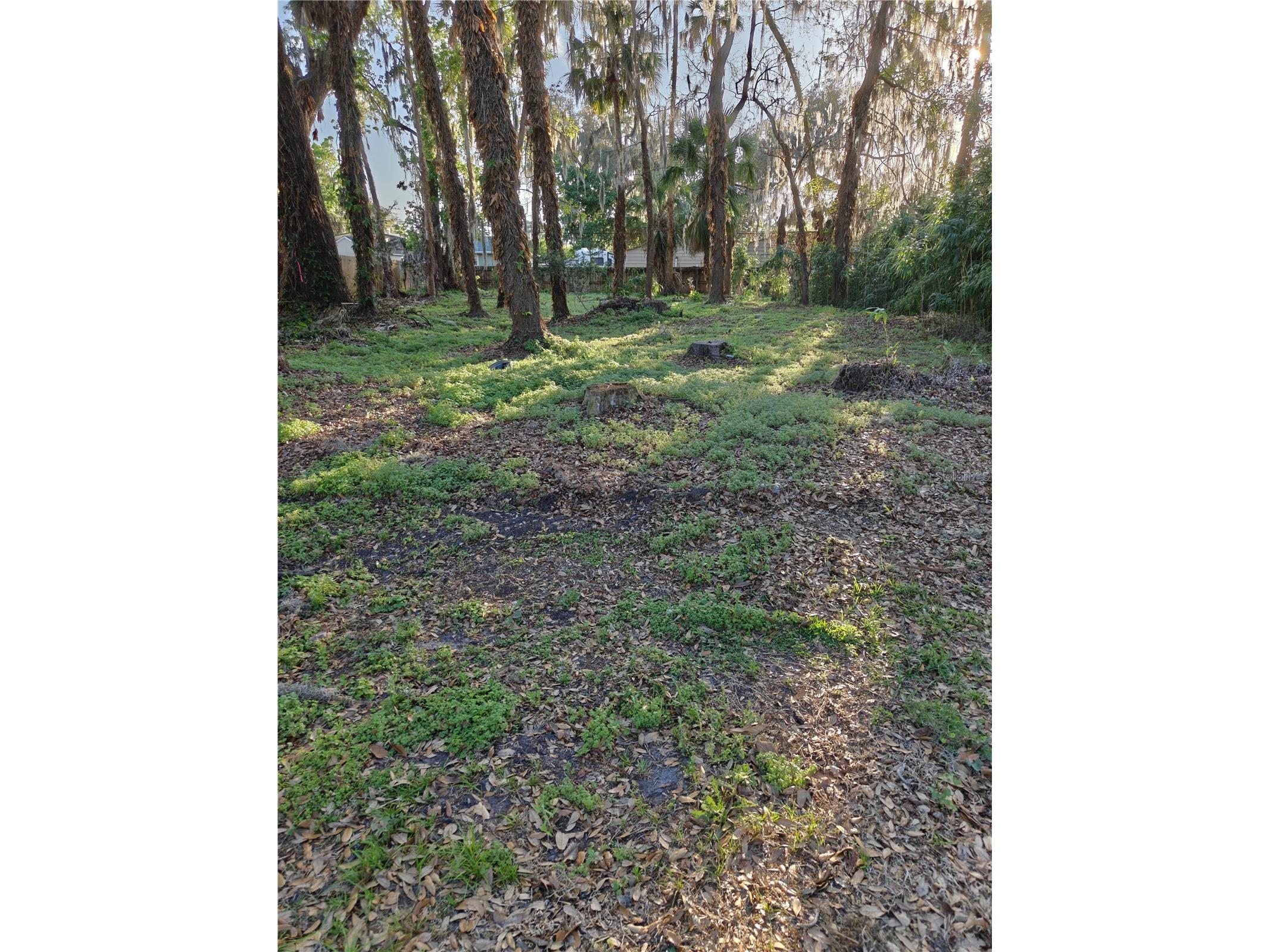 2214 Needle Palm Drive Edgewater FL 32141 V4948220 image3