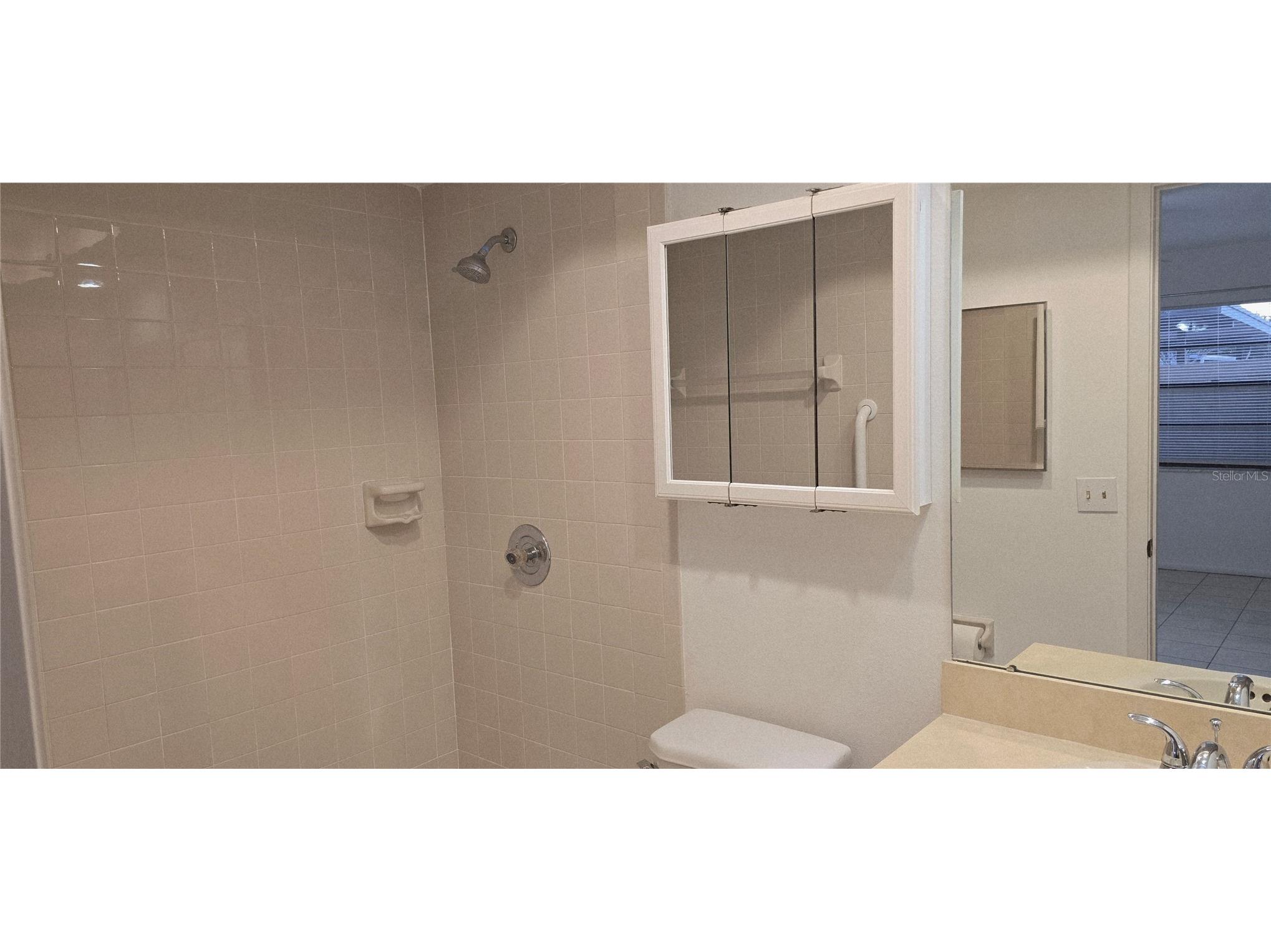 2214 Oak Wind Drive Holiday FL 34691 TB8417286 image31