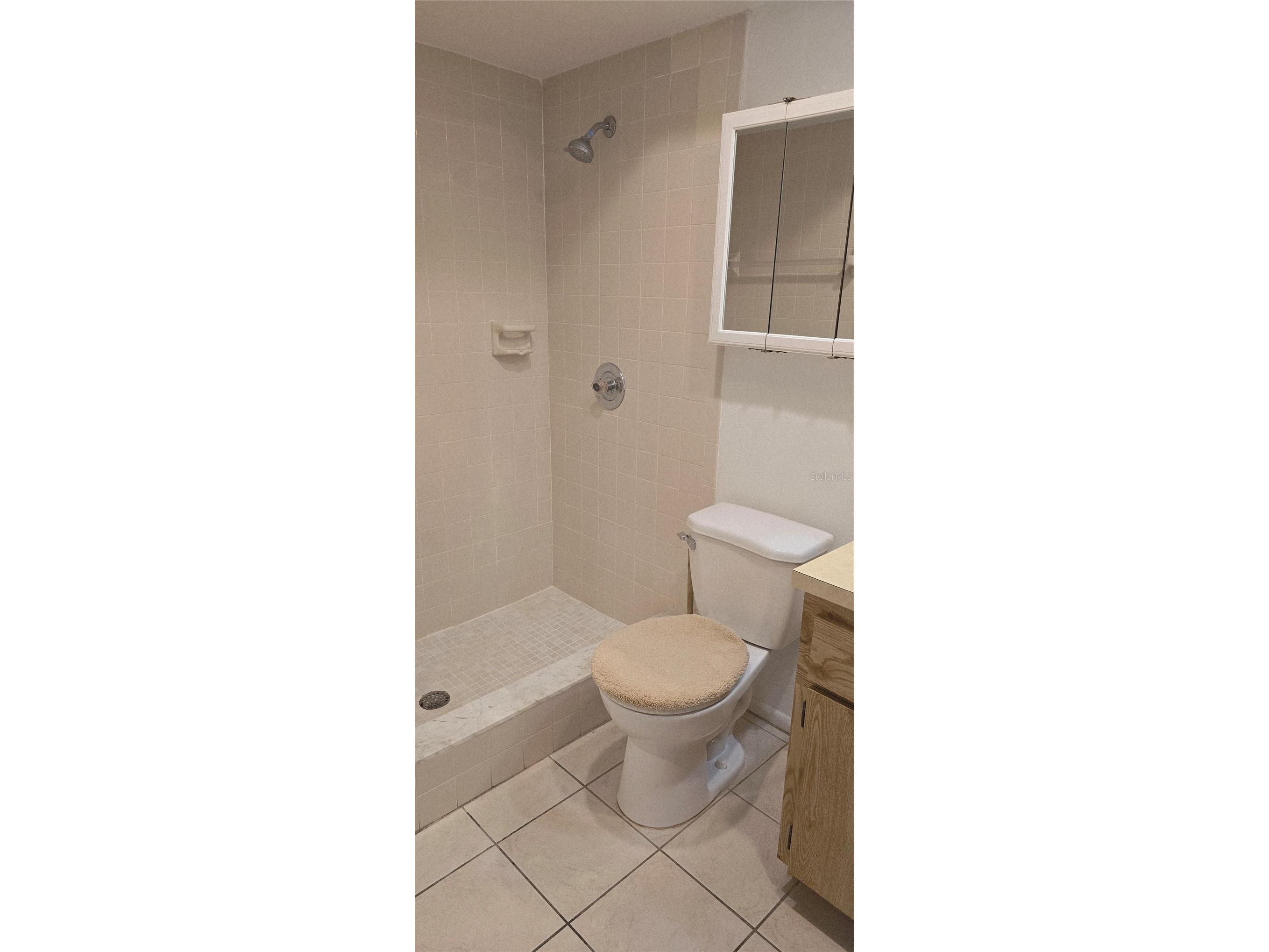 2214 Oak Wind Drive Holiday FL 34691 TB8417286 image40