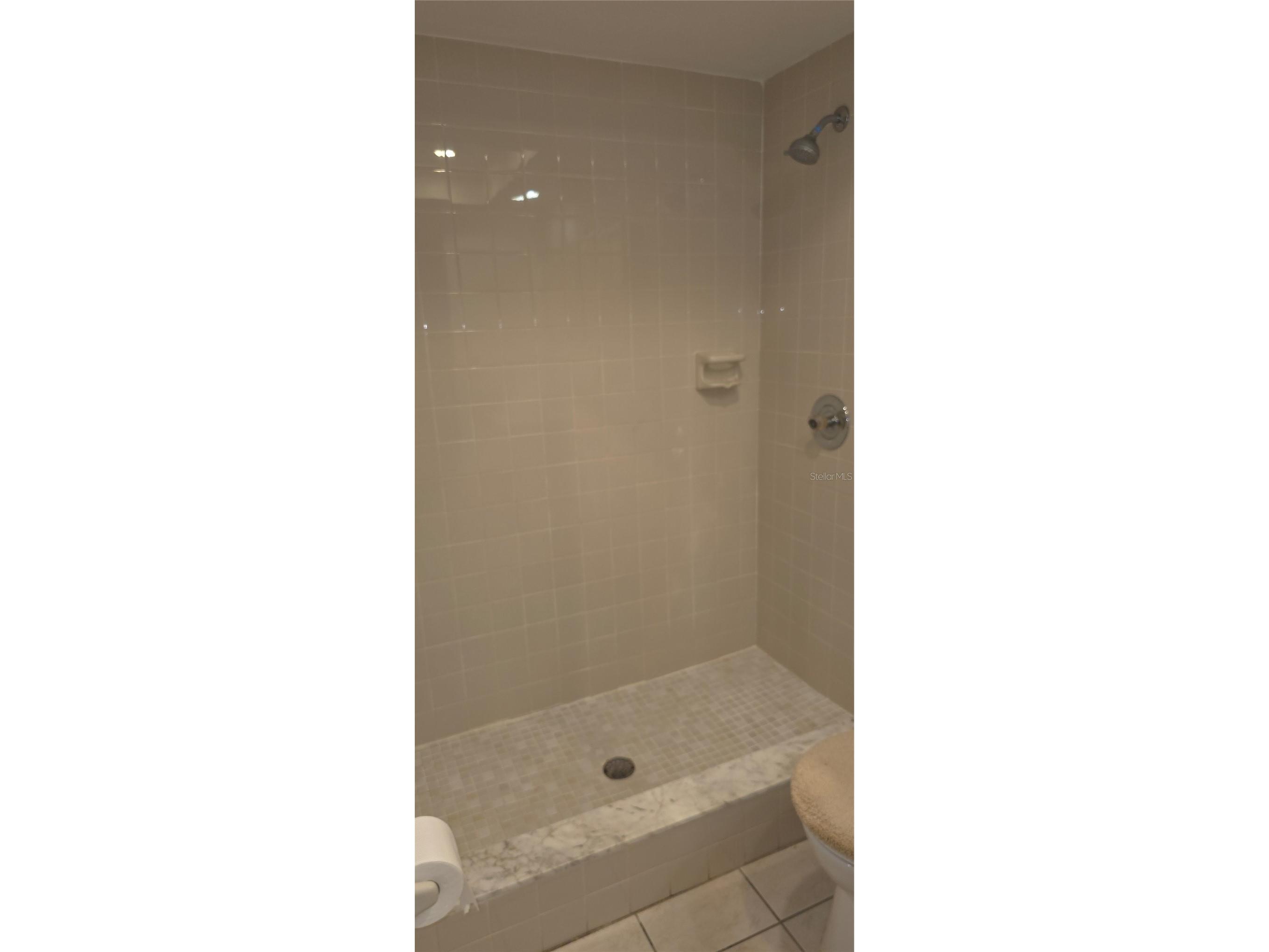 2214 Oak Wind Drive Holiday FL 34691 TB8417286 image43