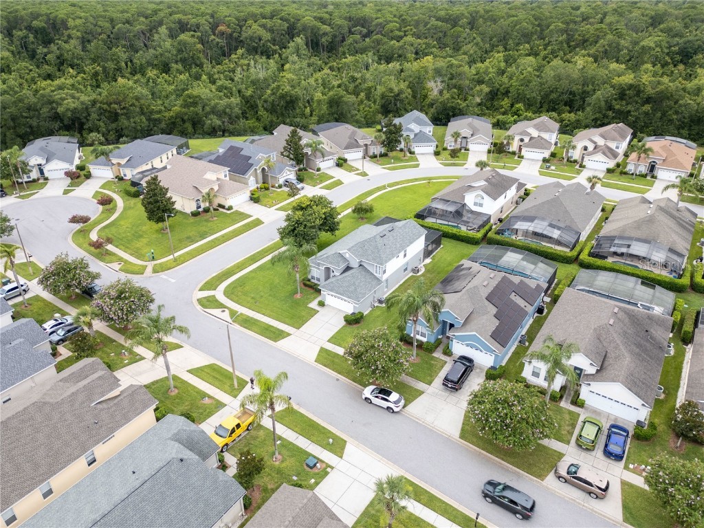 2214 Wyndham Palms Way Kissimmee FL 34747 O6353619 image49